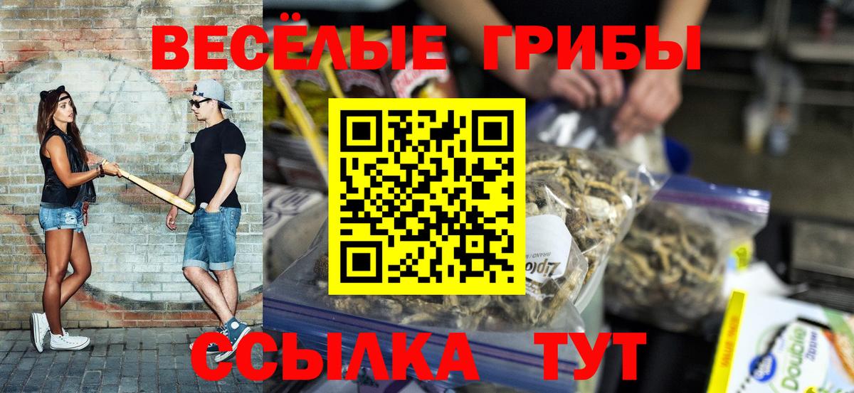 Галлюциногенные грибы мухоморы  где купить наркоту  Нефтекамск  Вход с VPN 